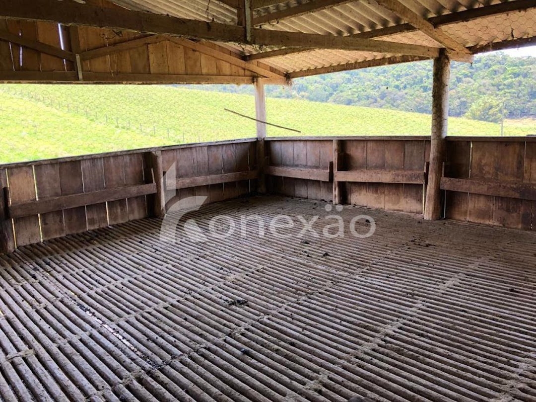 Fazenda-Sítio-Chácara, 400 m² - Foto 5