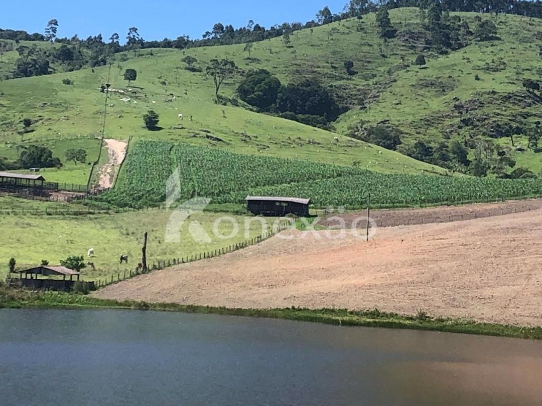 Fazenda-Sítio-Chácara, 400 m² - Foto 28