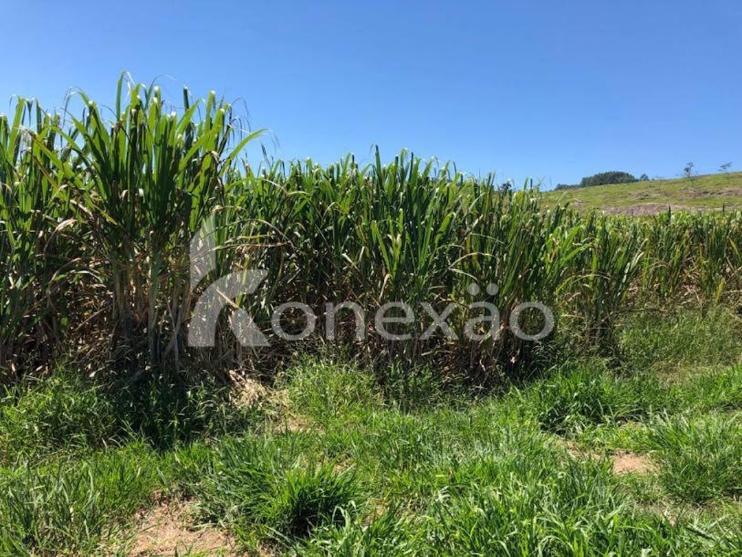 Fazenda-Sítio-Chácara, 400 m² - Foto 12