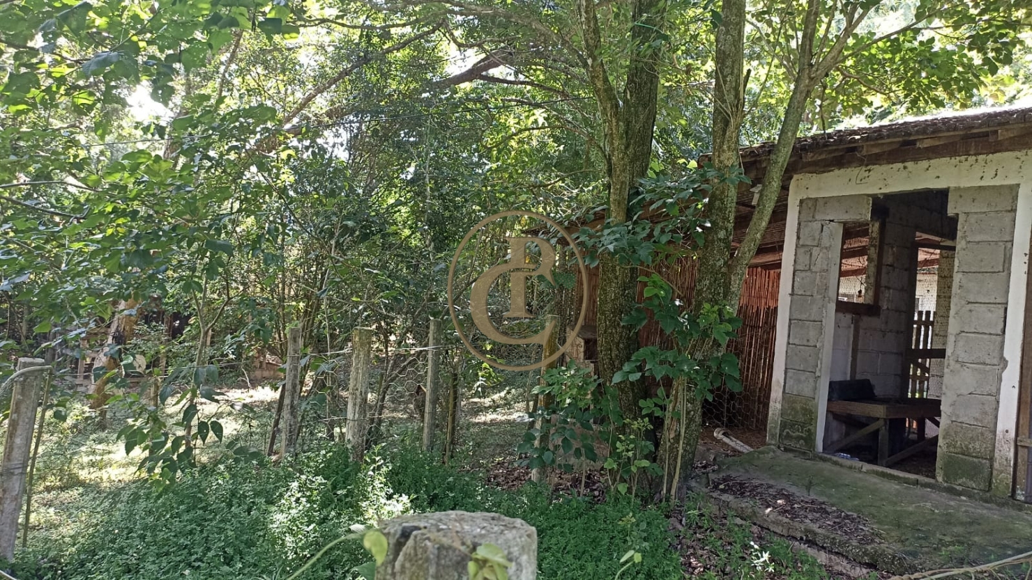 Chácara, 3 quartos, 244 m² - Foto 2