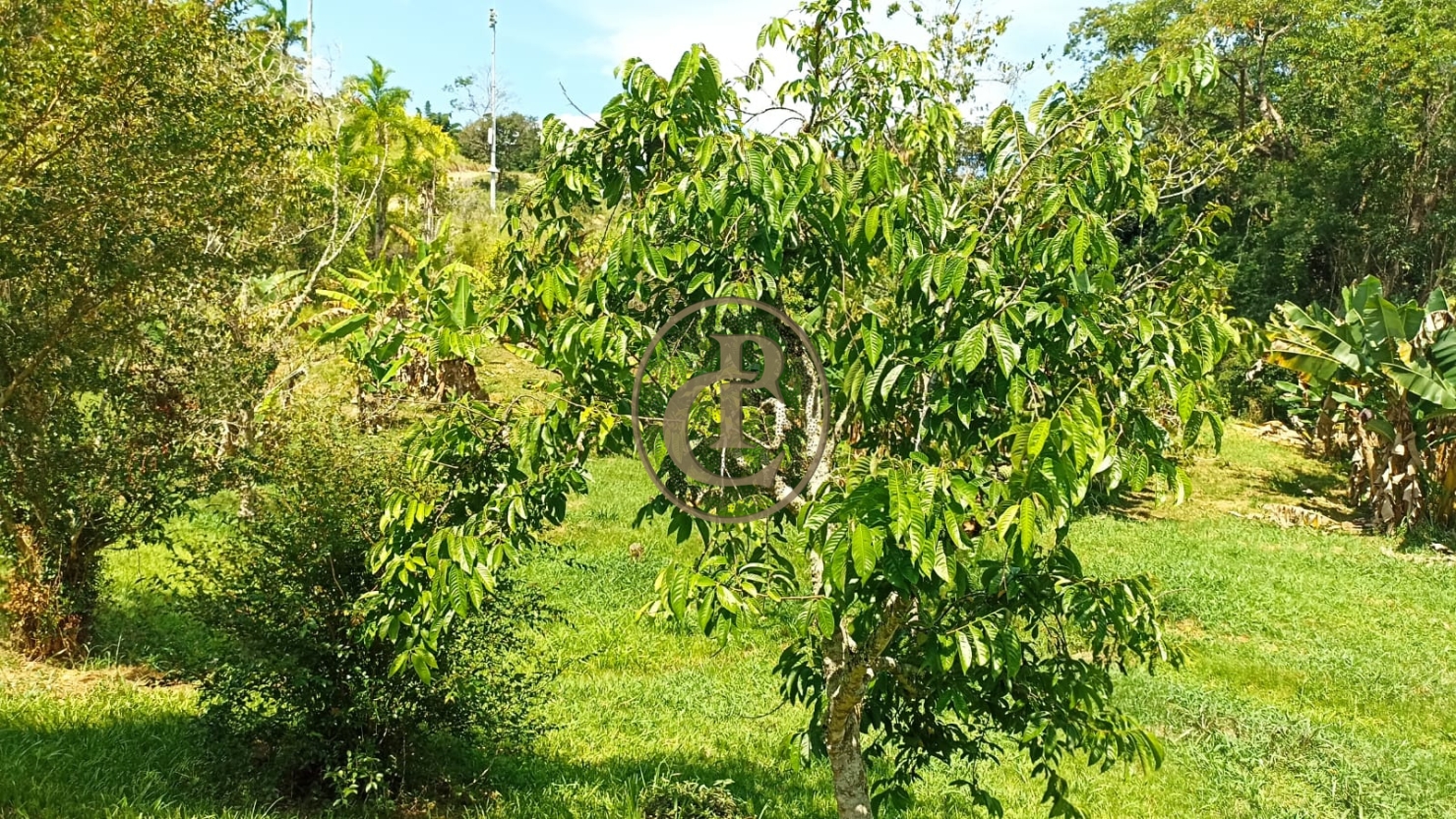 Chácara, 3 quartos, 244 m² - Foto 5