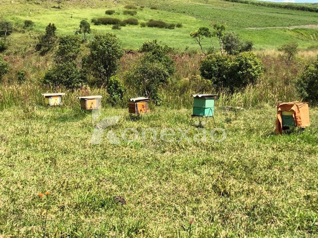 Fazenda-Sítio-Chácara, 400 m² - Foto 22