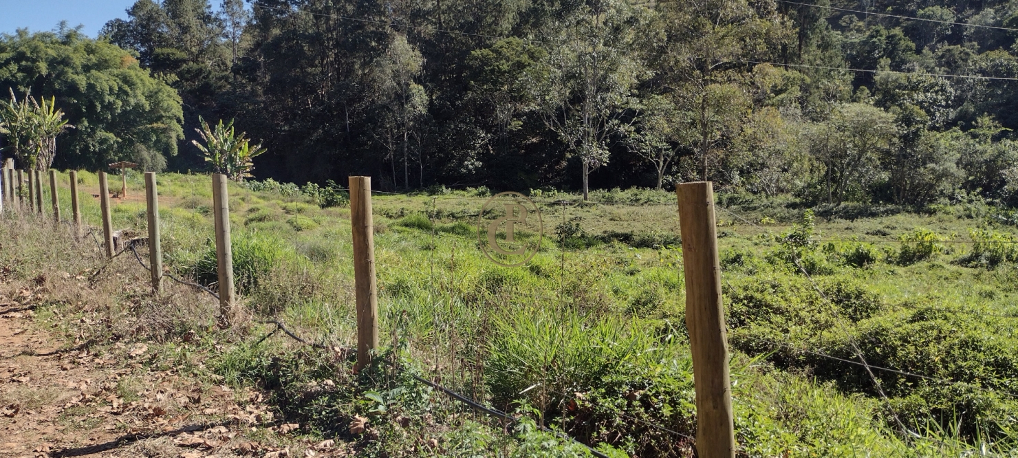 Sítio, 3 quartos, 23 m² - Foto 1