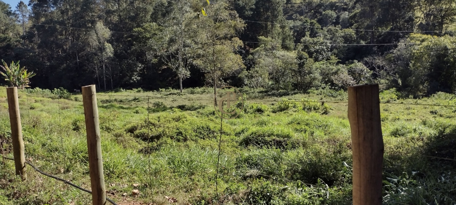 Sítio, 3 quartos, 23 m² - Foto 2