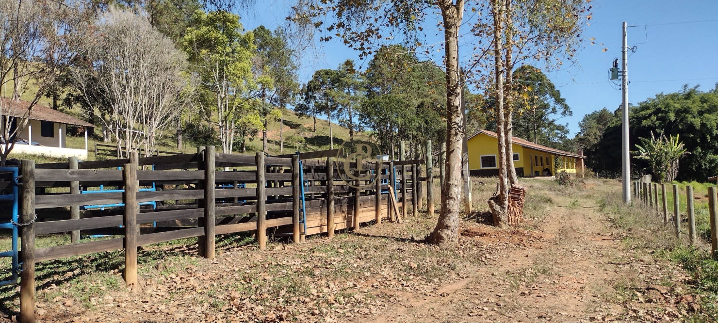 Sítio, 3 quartos, 23 m² - Foto 3