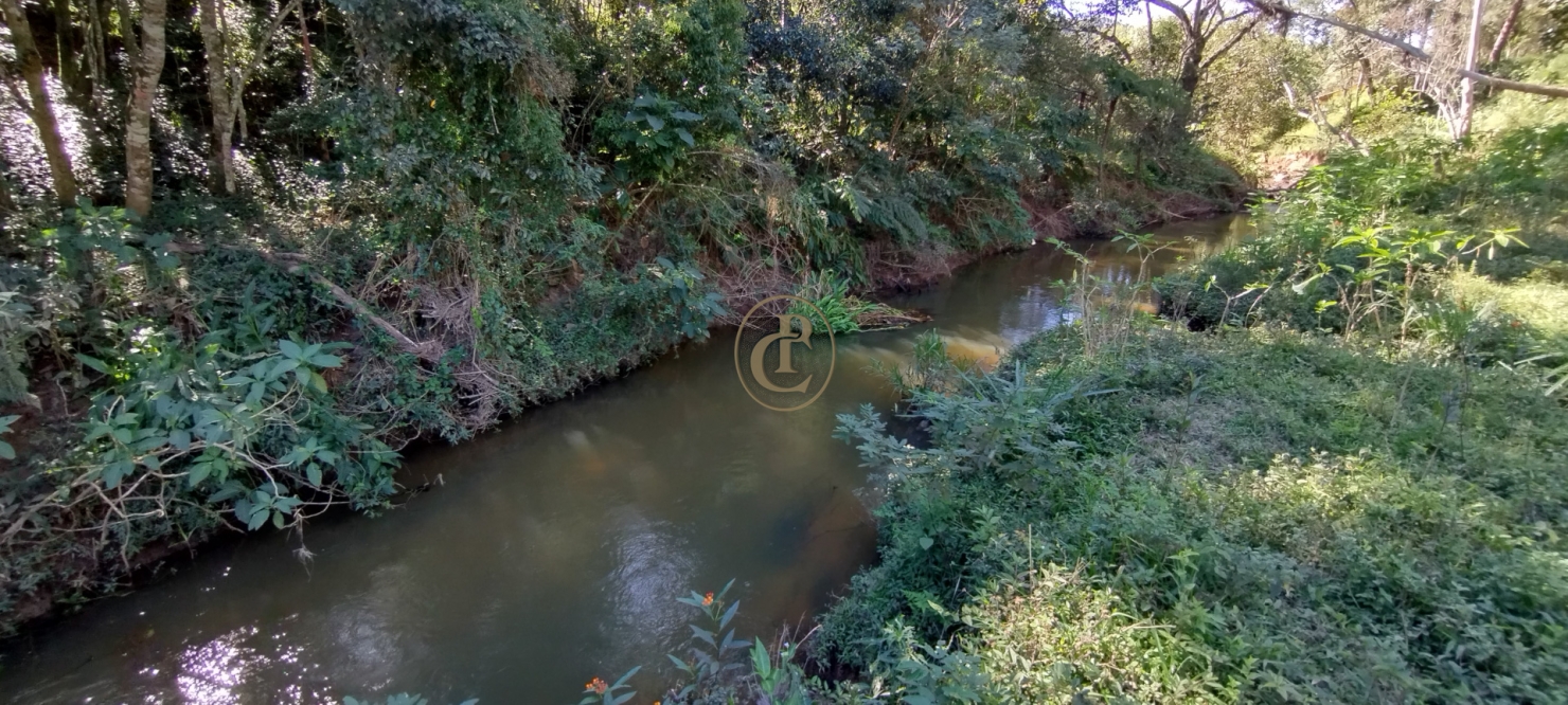 Sítio em Lagoinha/São Paulo — Ref R1ZSP7 — Imagem 8