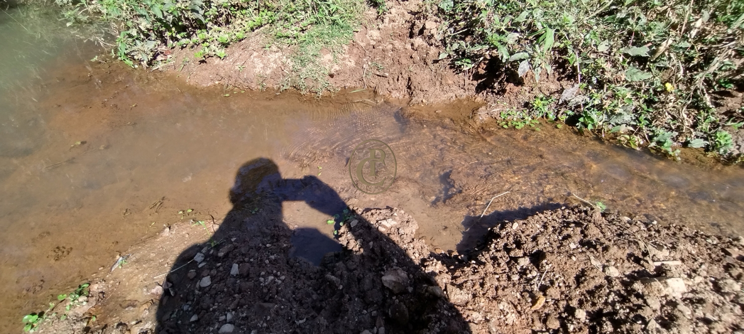 Sítio em Lagoinha/São Paulo — Ref R1ZSP7 — Imagem 9