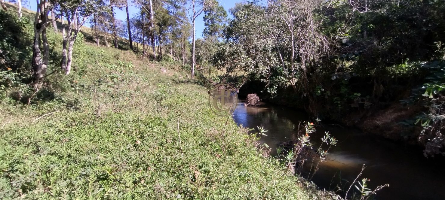 Sítio em Lagoinha/São Paulo — Ref R1ZSP7 — Imagem 10