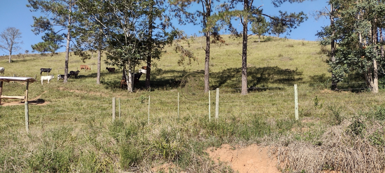 Sítio em Lagoinha/São Paulo — Ref R1ZSP7 — Imagem 18