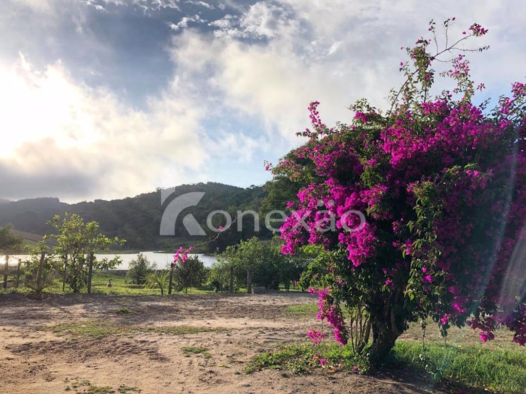 Fazenda-Sítio-Chácara, 400 m² - Foto 20