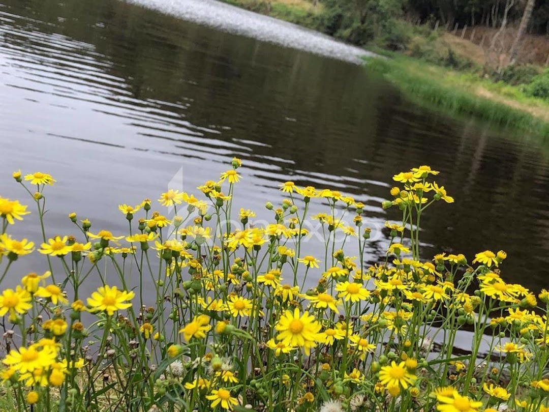 Fazenda-Sítio-Chácara, 400 m² - Foto 29