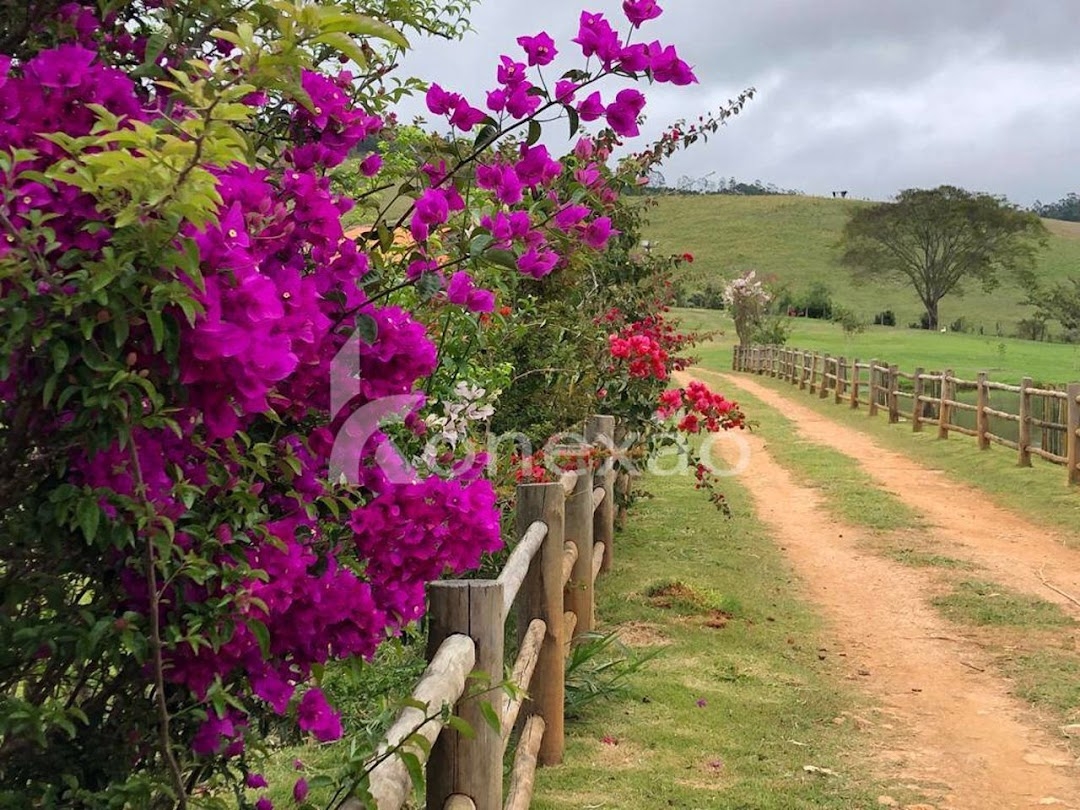 Fazenda-Sítio-Chácara, 400 m² - Foto 17