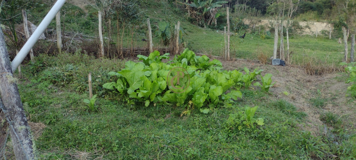 Terreno, 6 m² - Foto 13