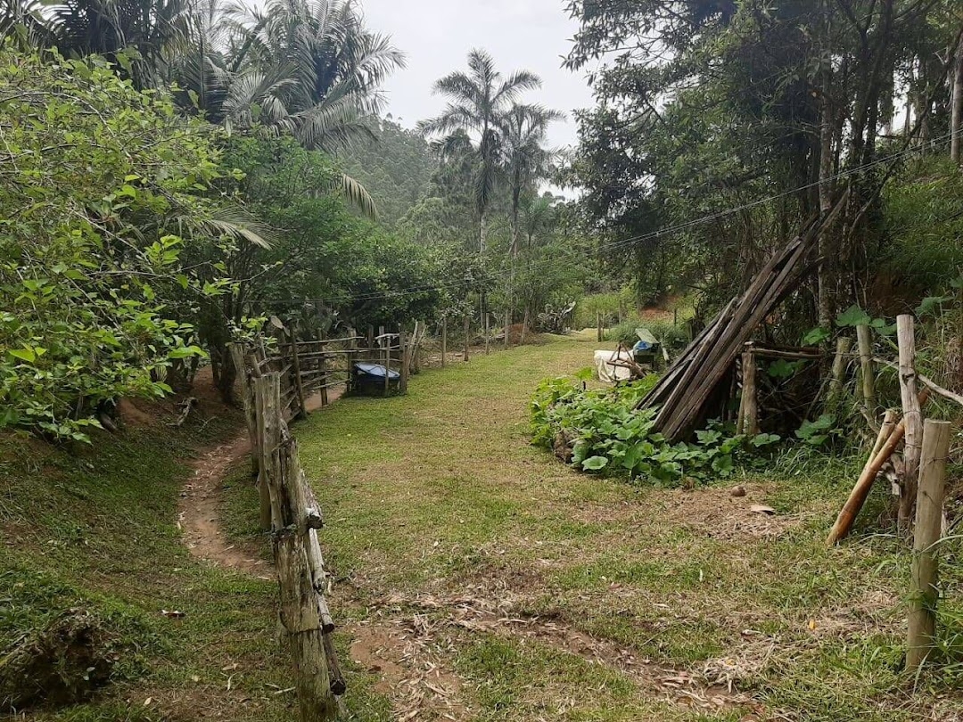 Sítio, 3 quartos, 250 m² - Foto 6