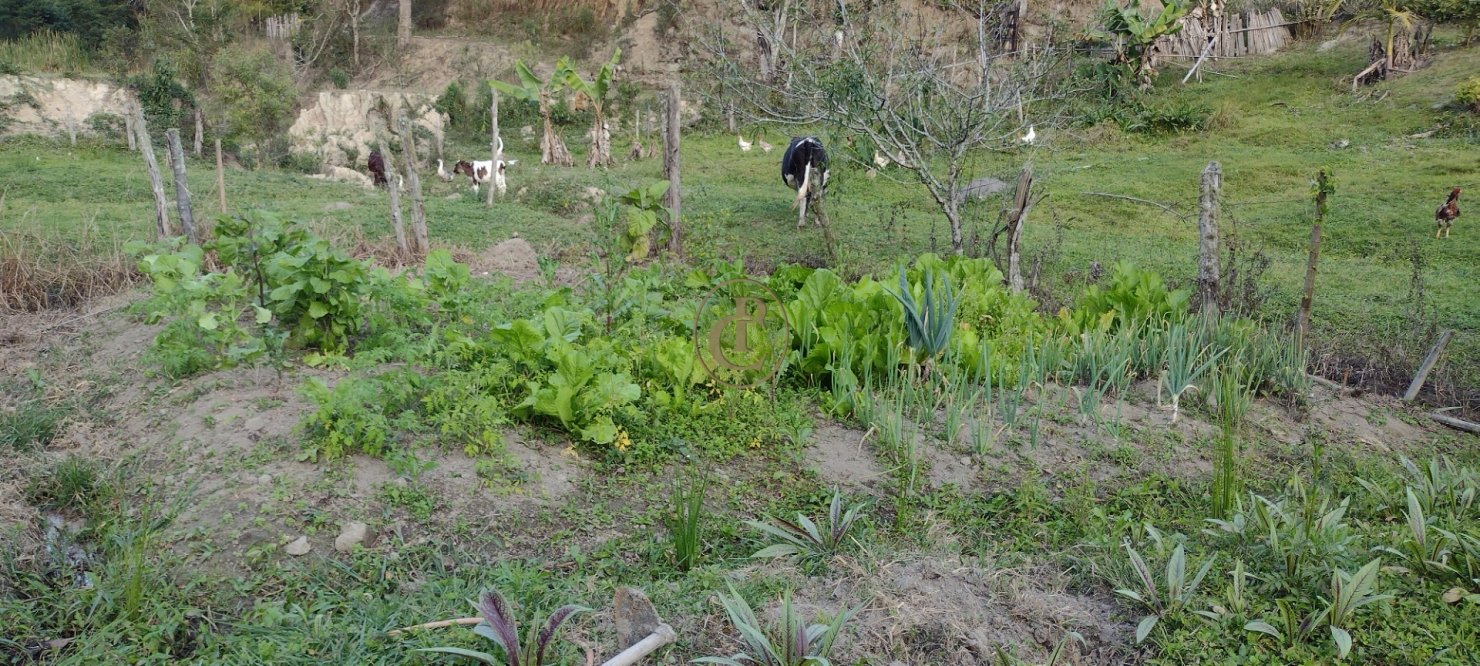 Terreno, 6 m² - Foto 24