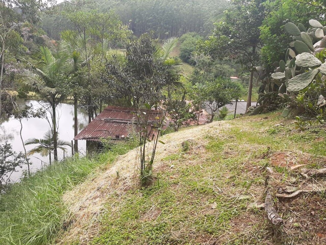 Sítio, 3 quartos, 250 m² - Foto 4