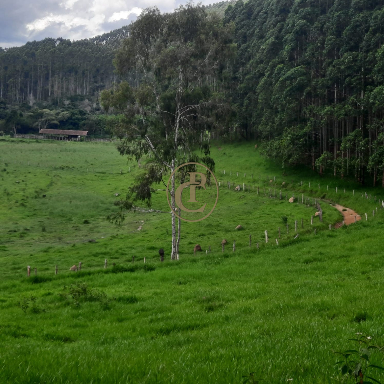 Fazenda, 500 m² - Foto 22