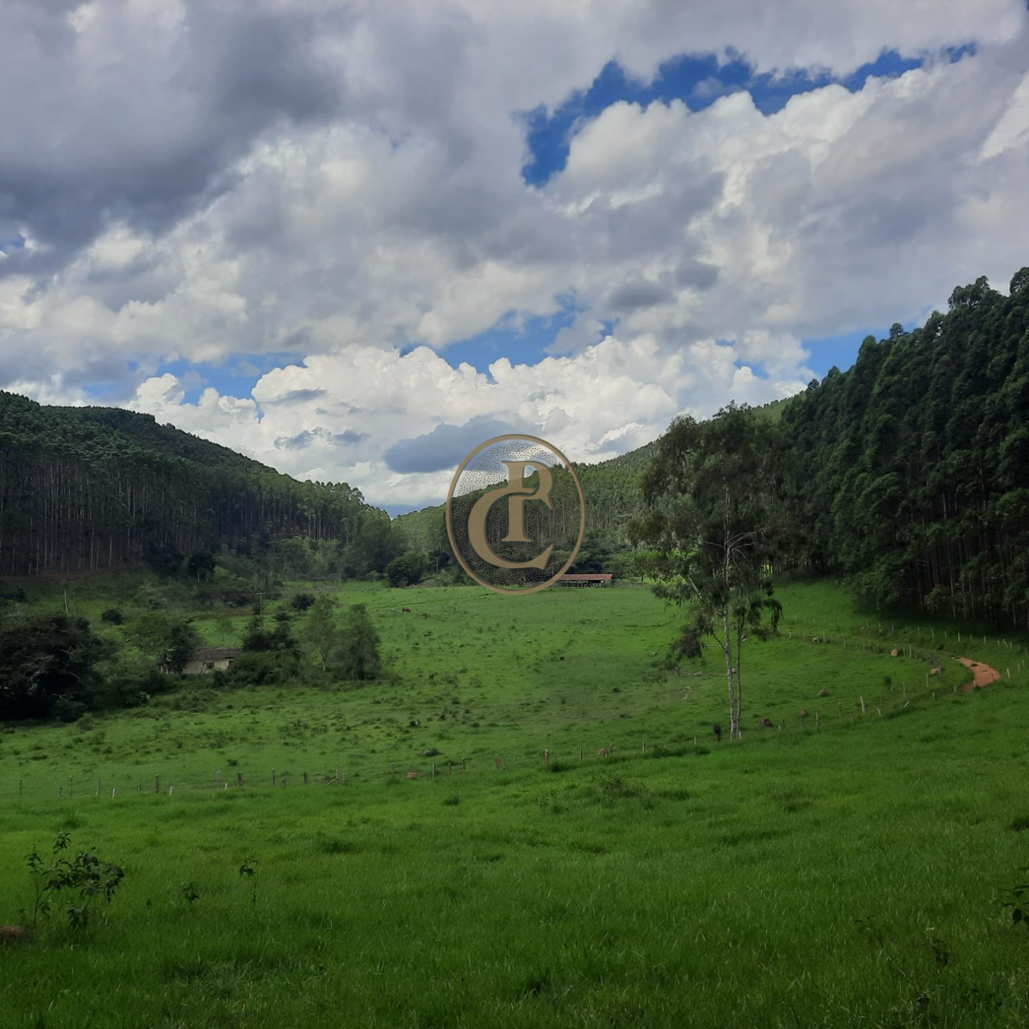 Fazenda, 500 m² - Foto 23