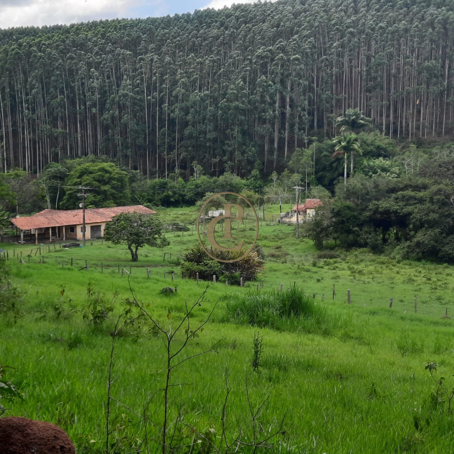 Fazenda, 500 m² - Foto 24