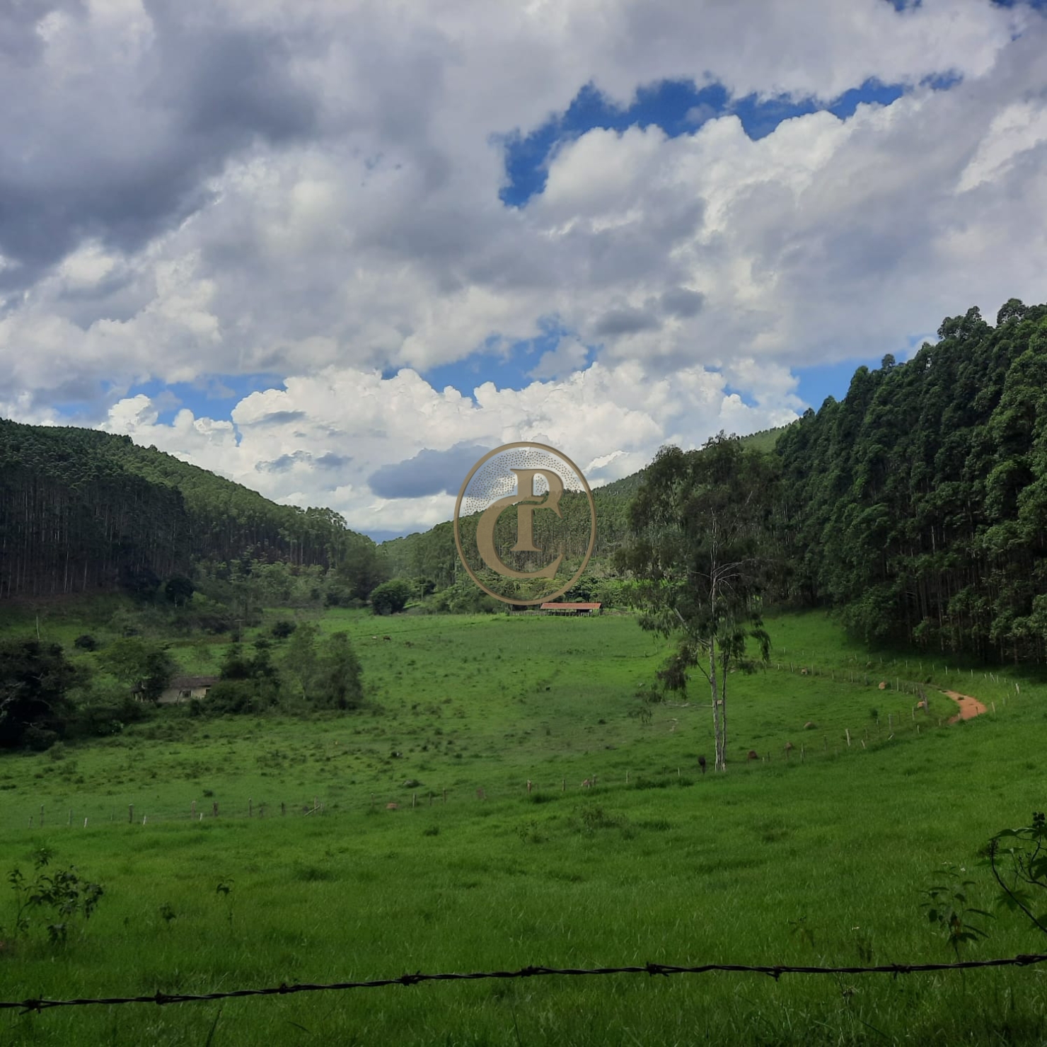 Fazenda, 500 m² - Foto 25