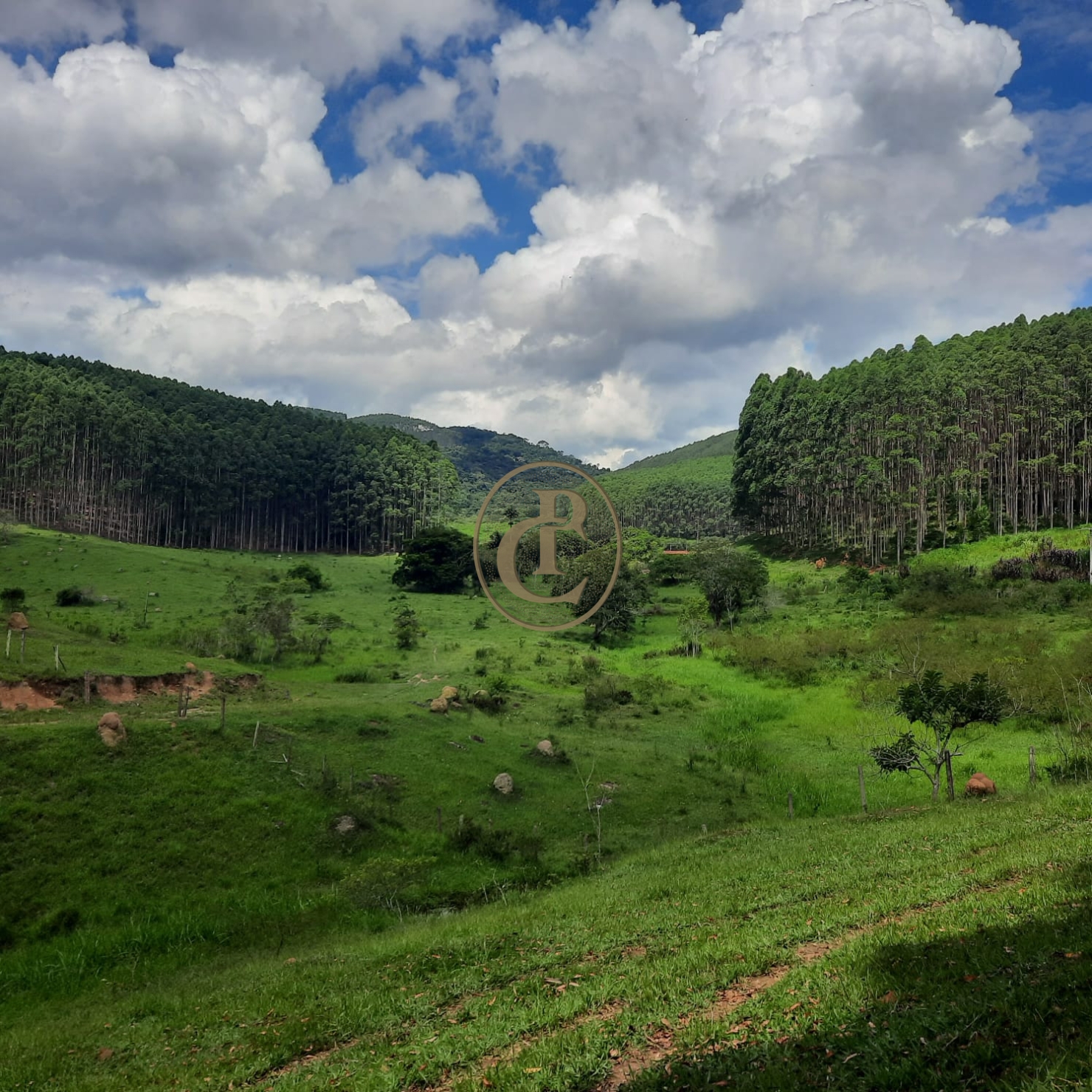 Fazenda, 500 m² - Foto 26