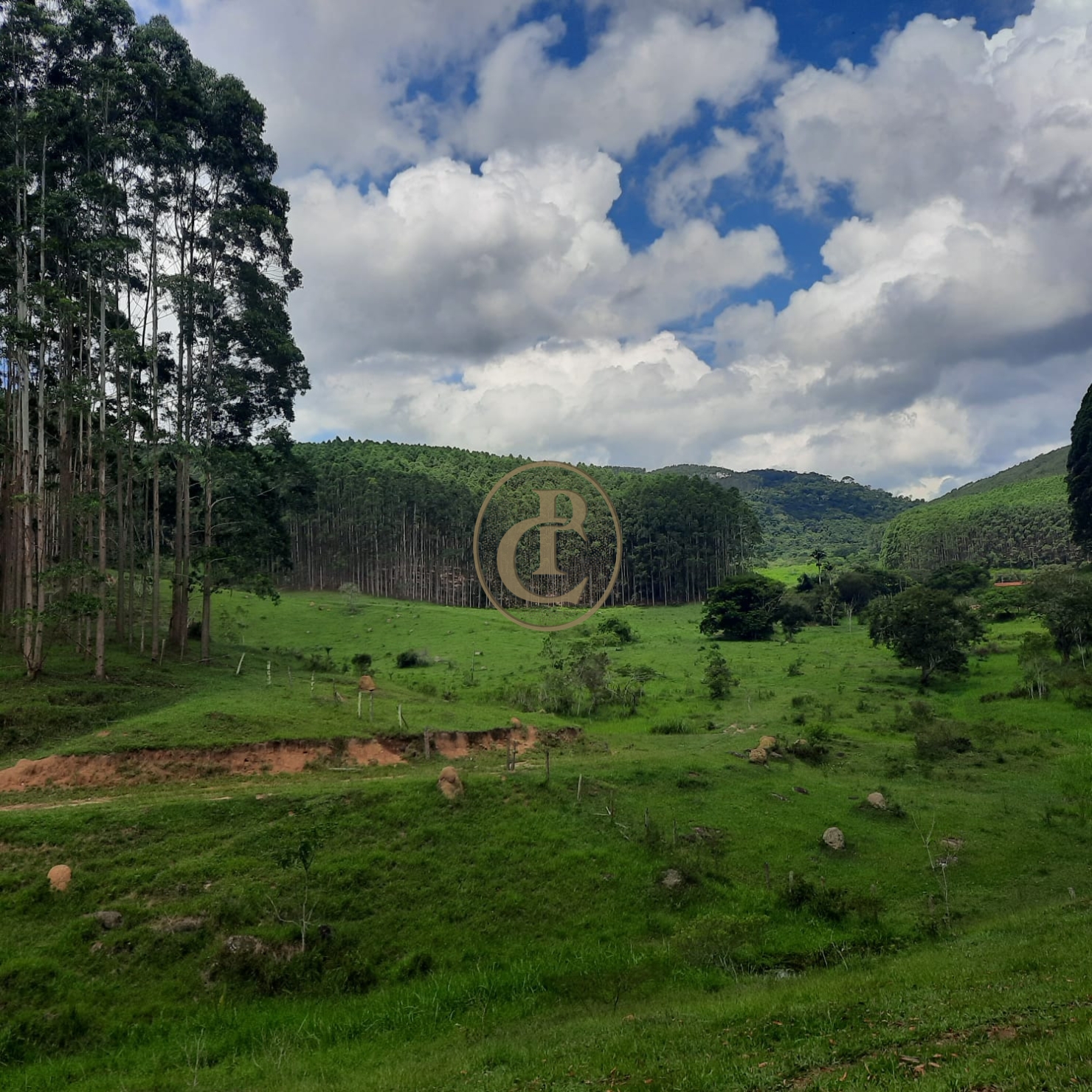 Fazenda, 500 m² - Foto 27