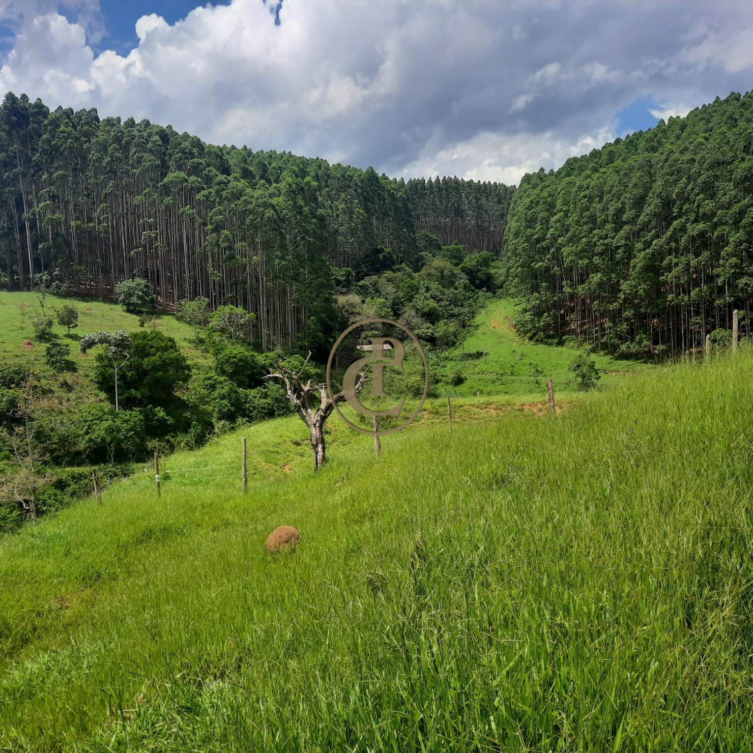 Fazenda, 500 m² - Foto 29