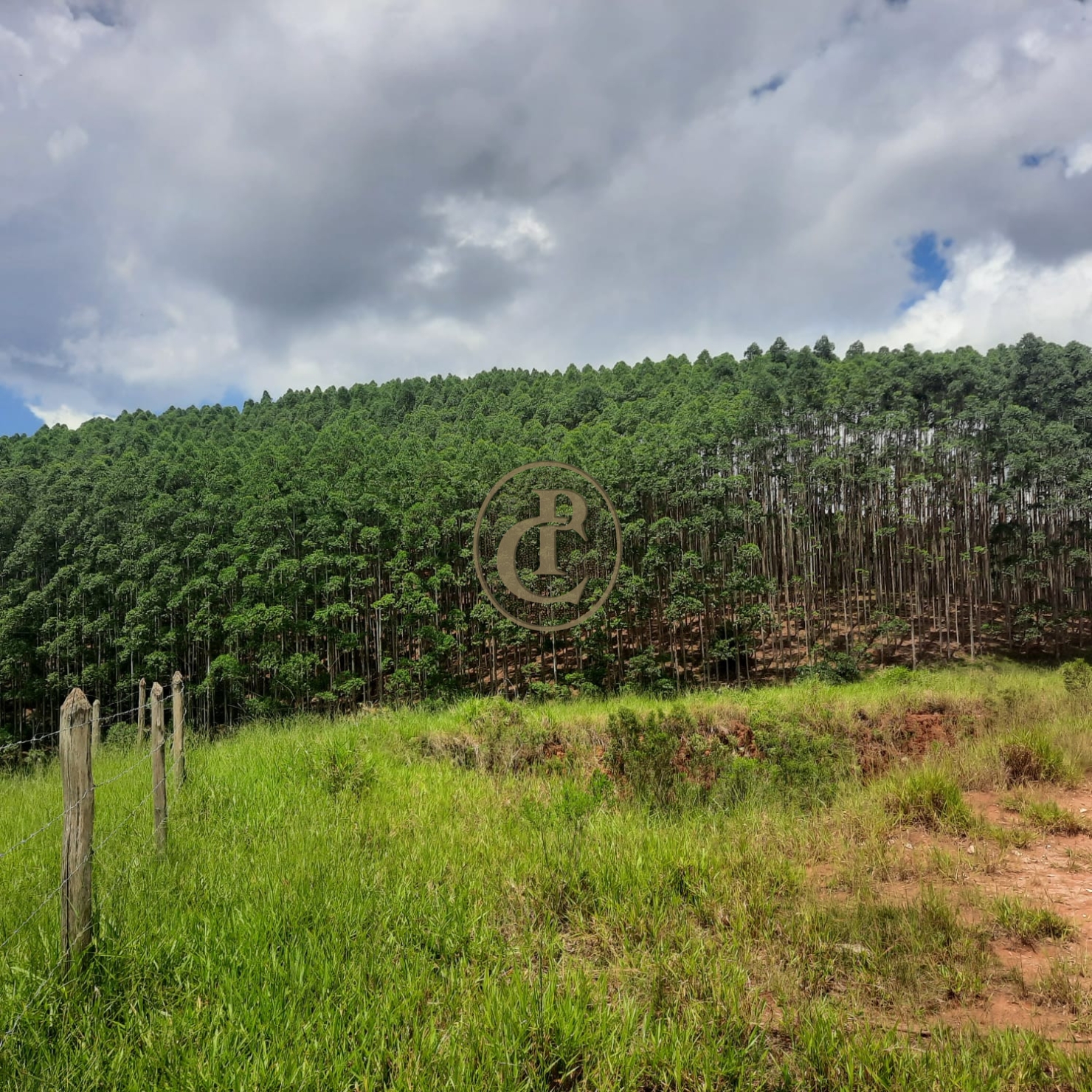 Fazenda, 500 m² - Foto 30