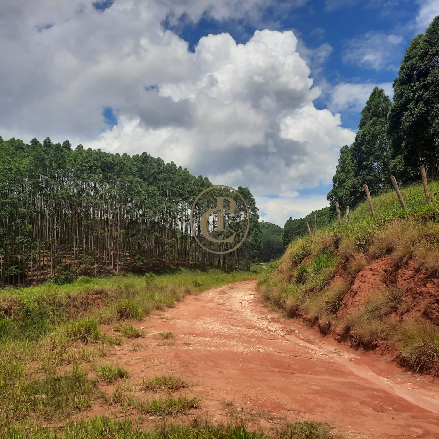 Fazenda, 500 m² - Foto 32