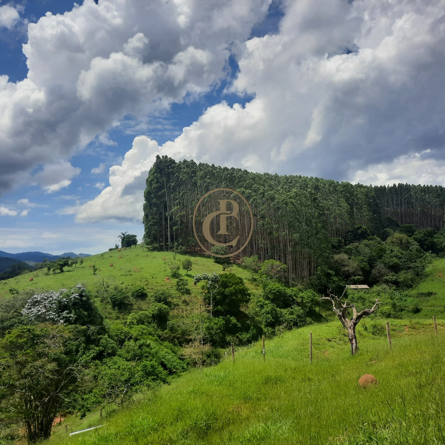 Fazenda, 500 m² - Foto 35