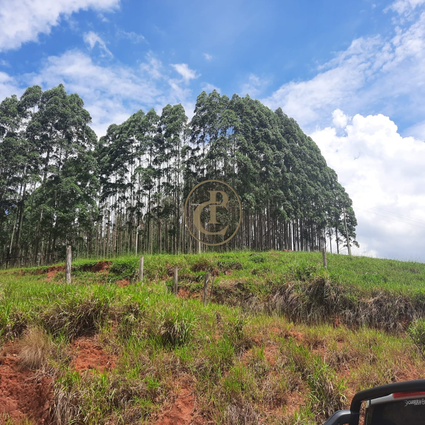 Fazenda, 500 m² - Foto 37