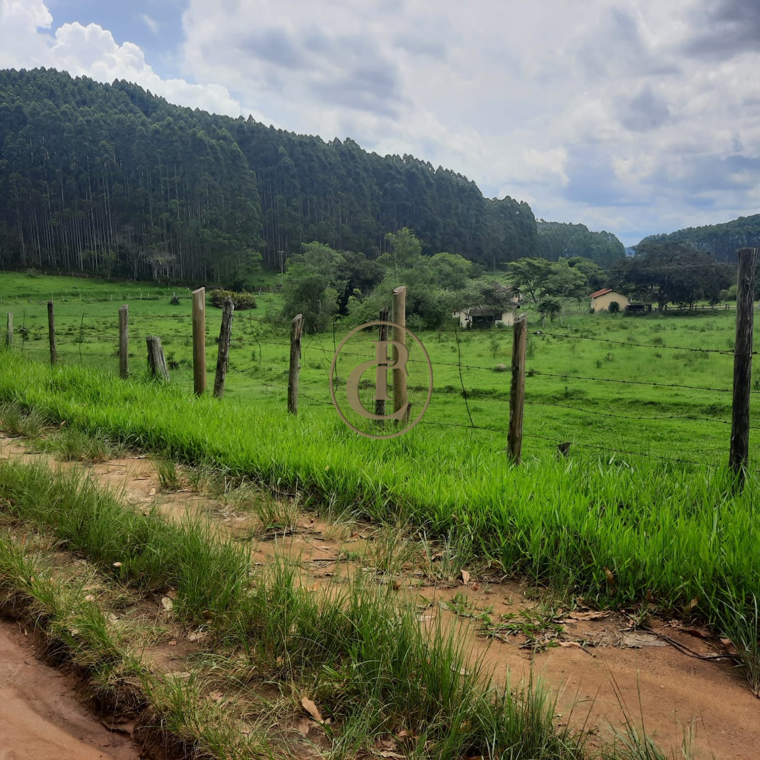 Fazenda, 500 m² - Foto 38