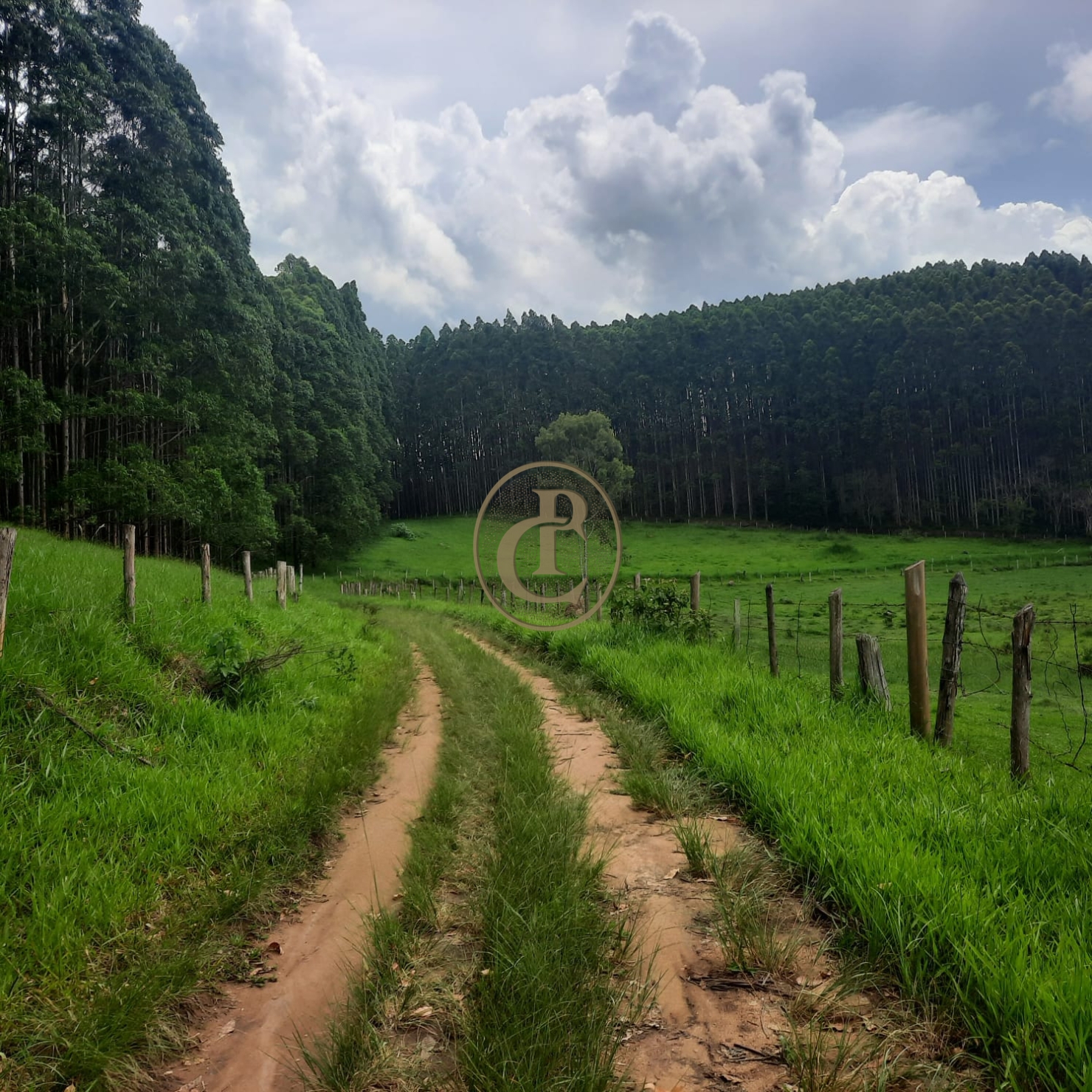 Fazenda, 500 m² - Foto 41