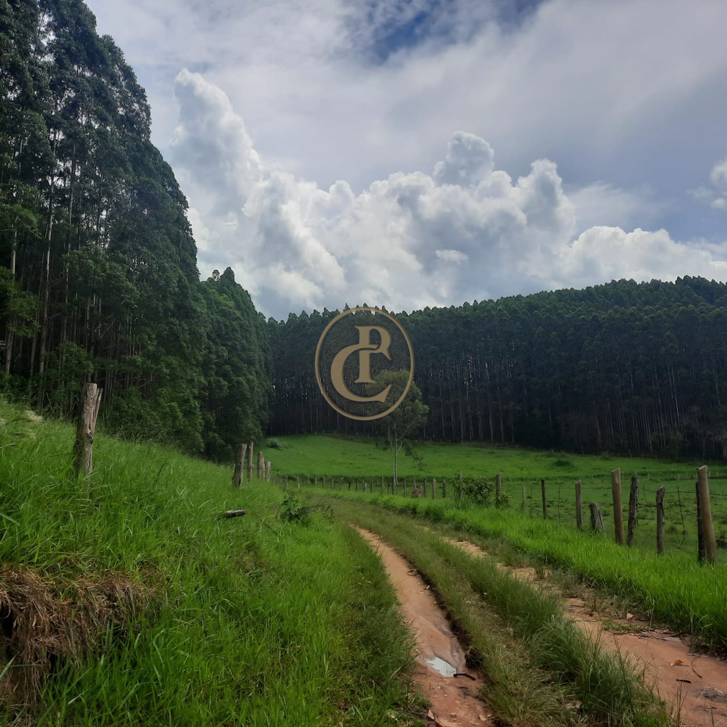 Fazenda, 500 m² - Foto 42