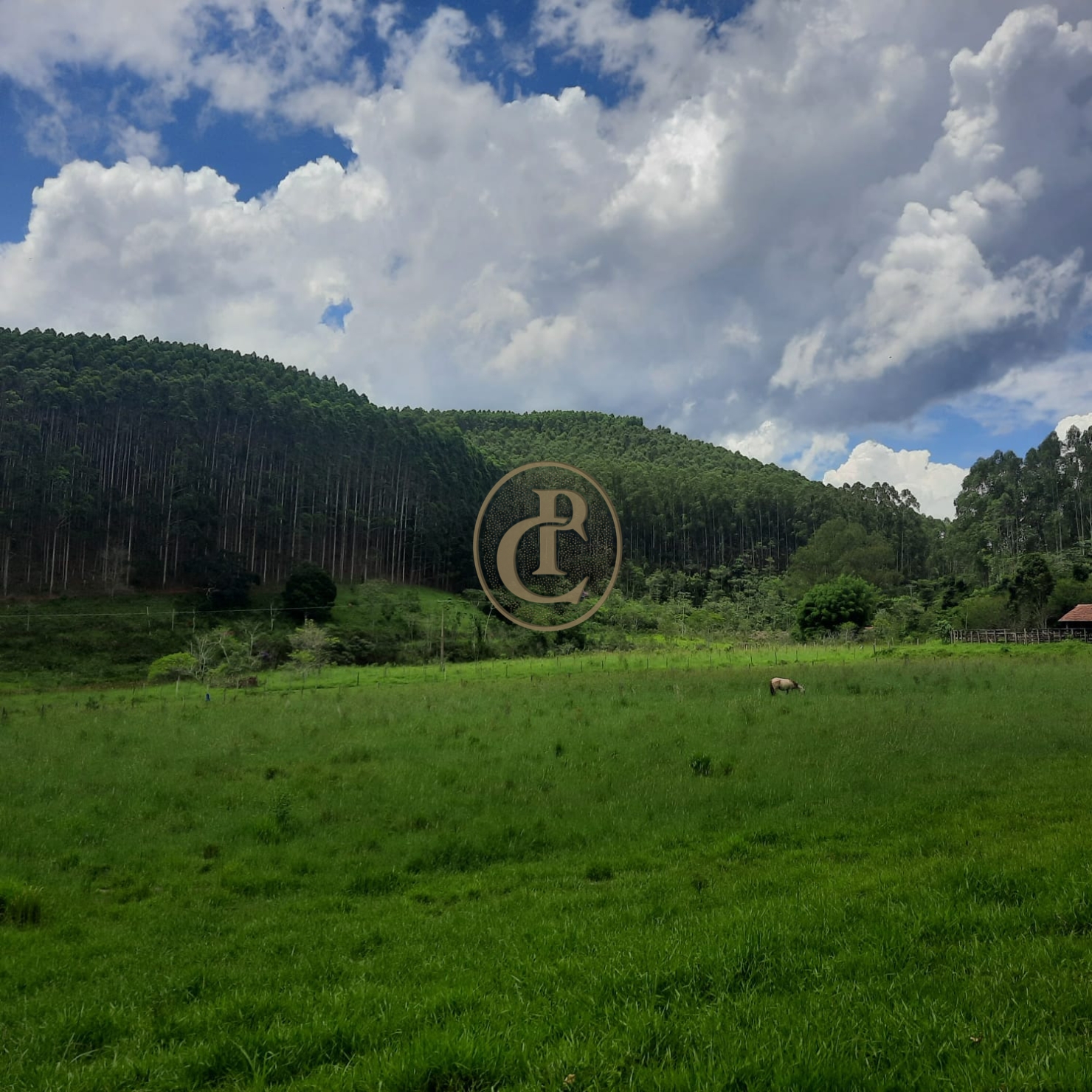 Fazenda, 500 m² - Foto 44