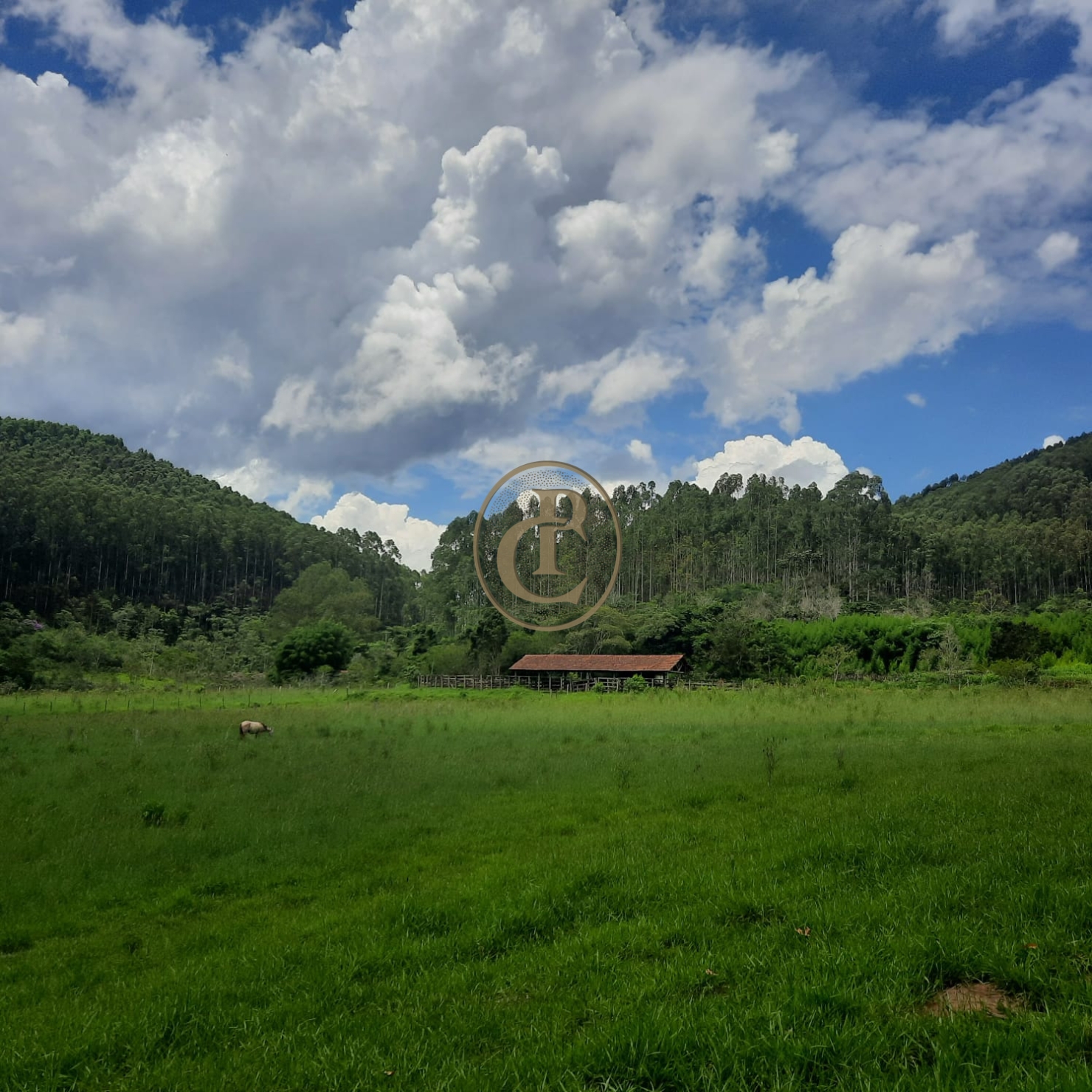 Fazenda, 500 m² - Foto 45