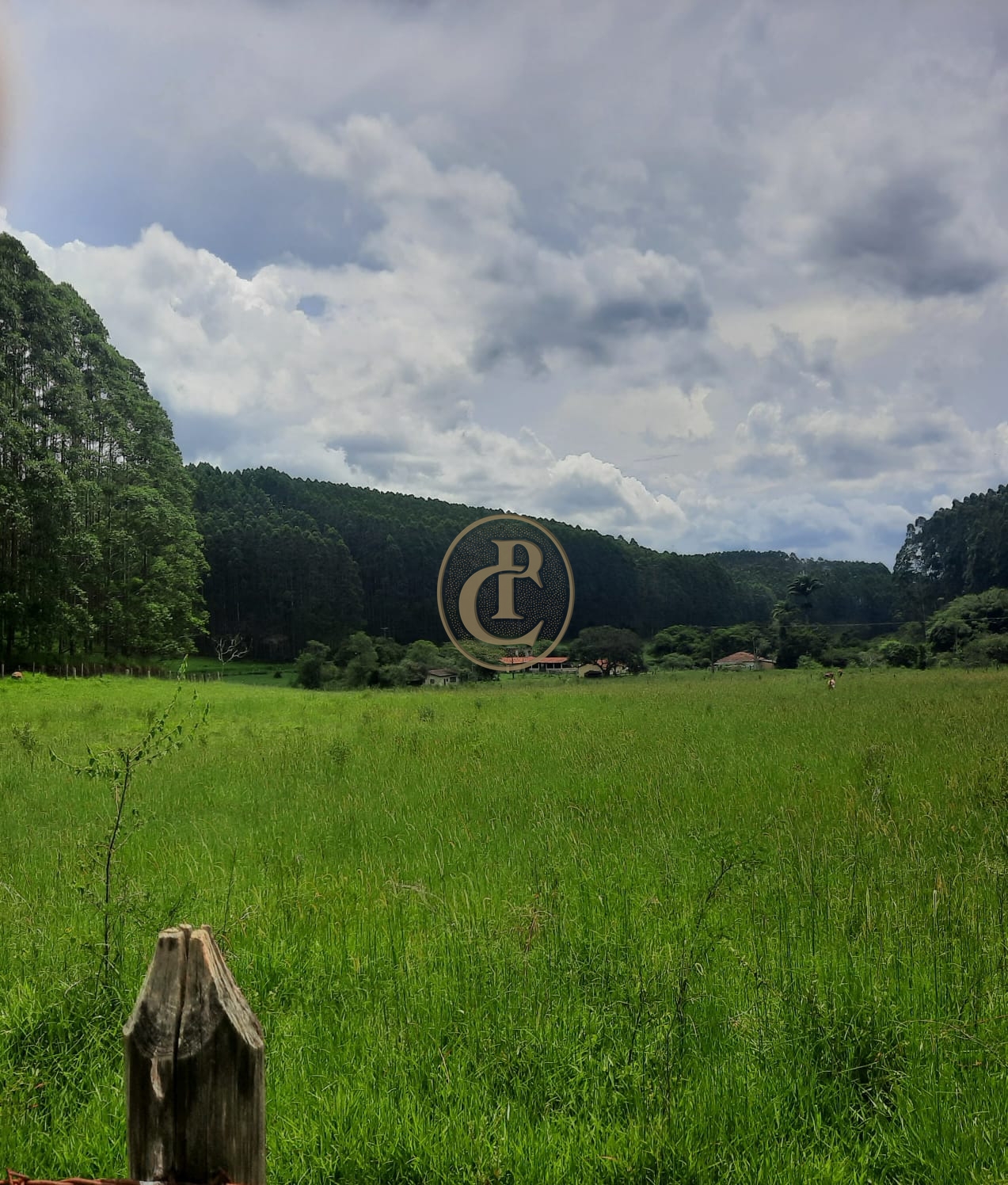 Fazenda, 500 m² - Foto 46