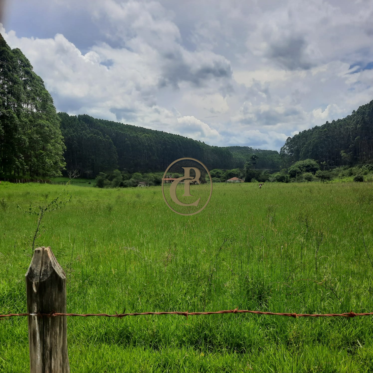 Fazenda, 500 m² - Foto 47