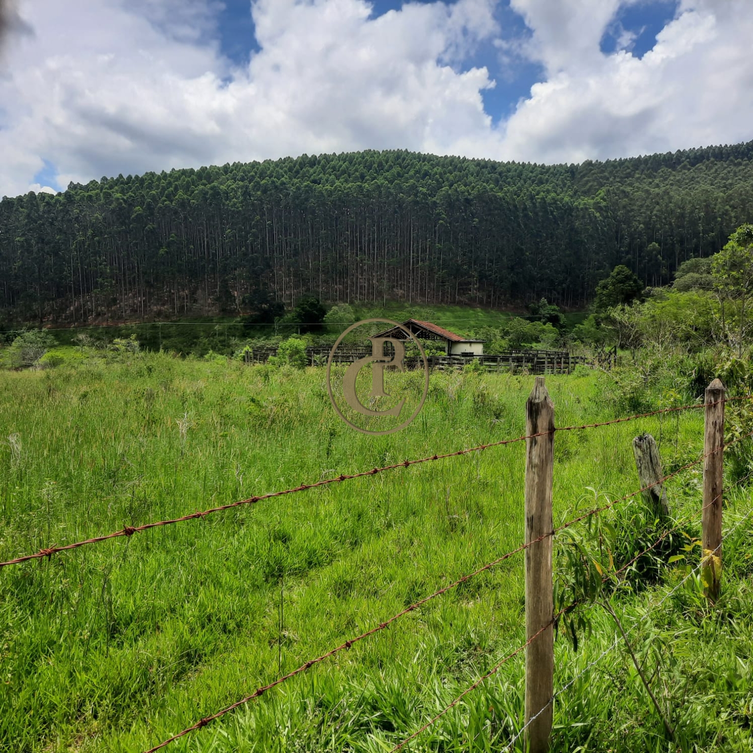 Fazenda, 500 m² - Foto 48