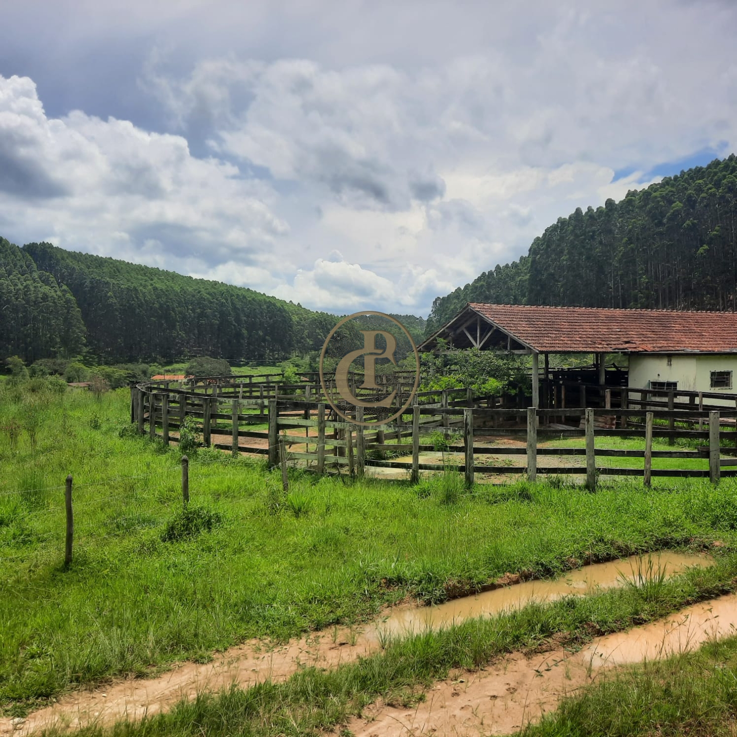 Fazenda, 500 m² - Foto 51