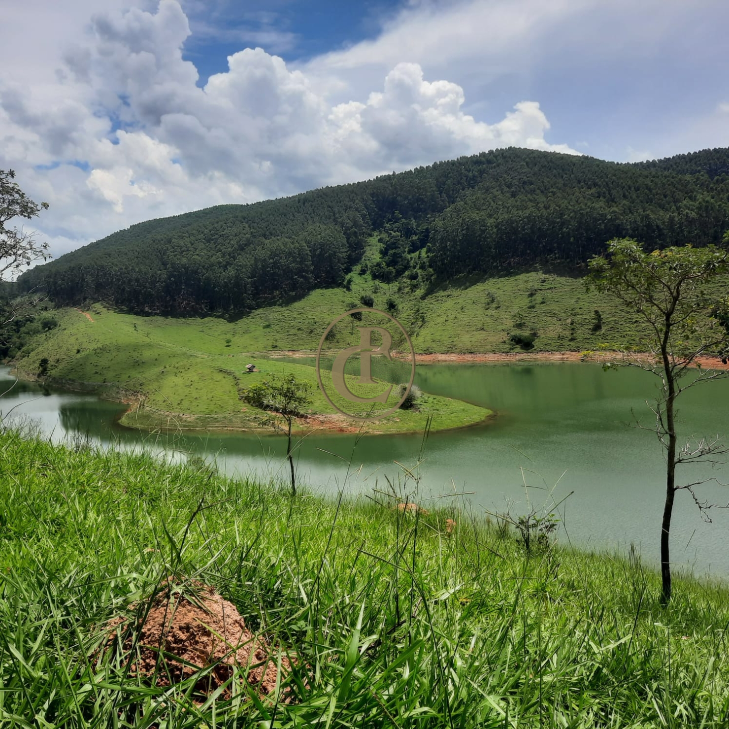 Fazenda, 500 m² - Foto 53