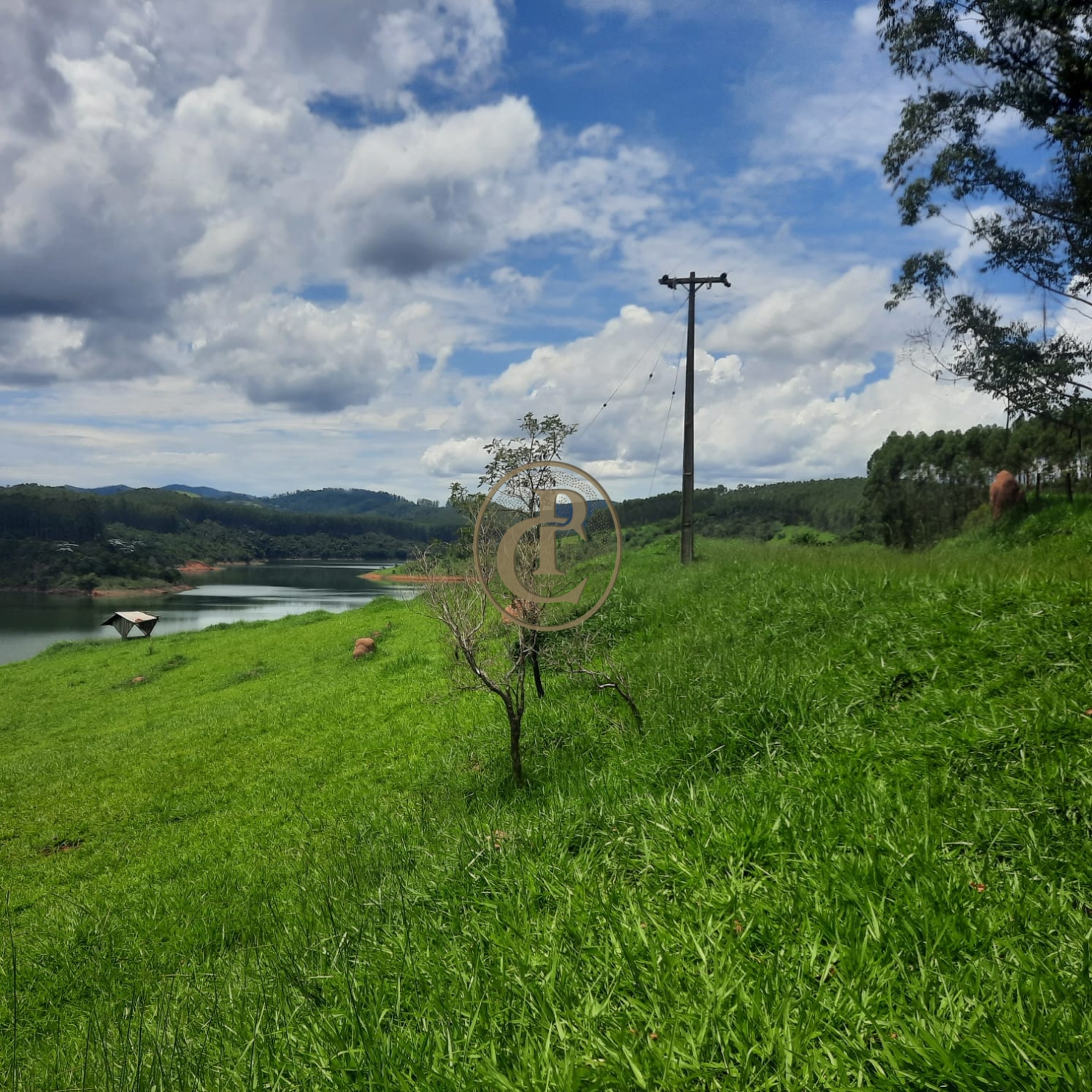 Fazenda, 500 m² - Foto 54