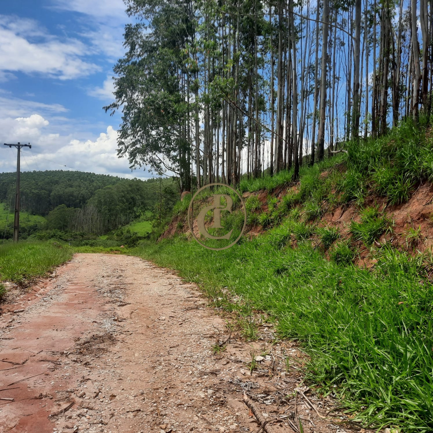 Fazenda, 500 m² - Foto 64