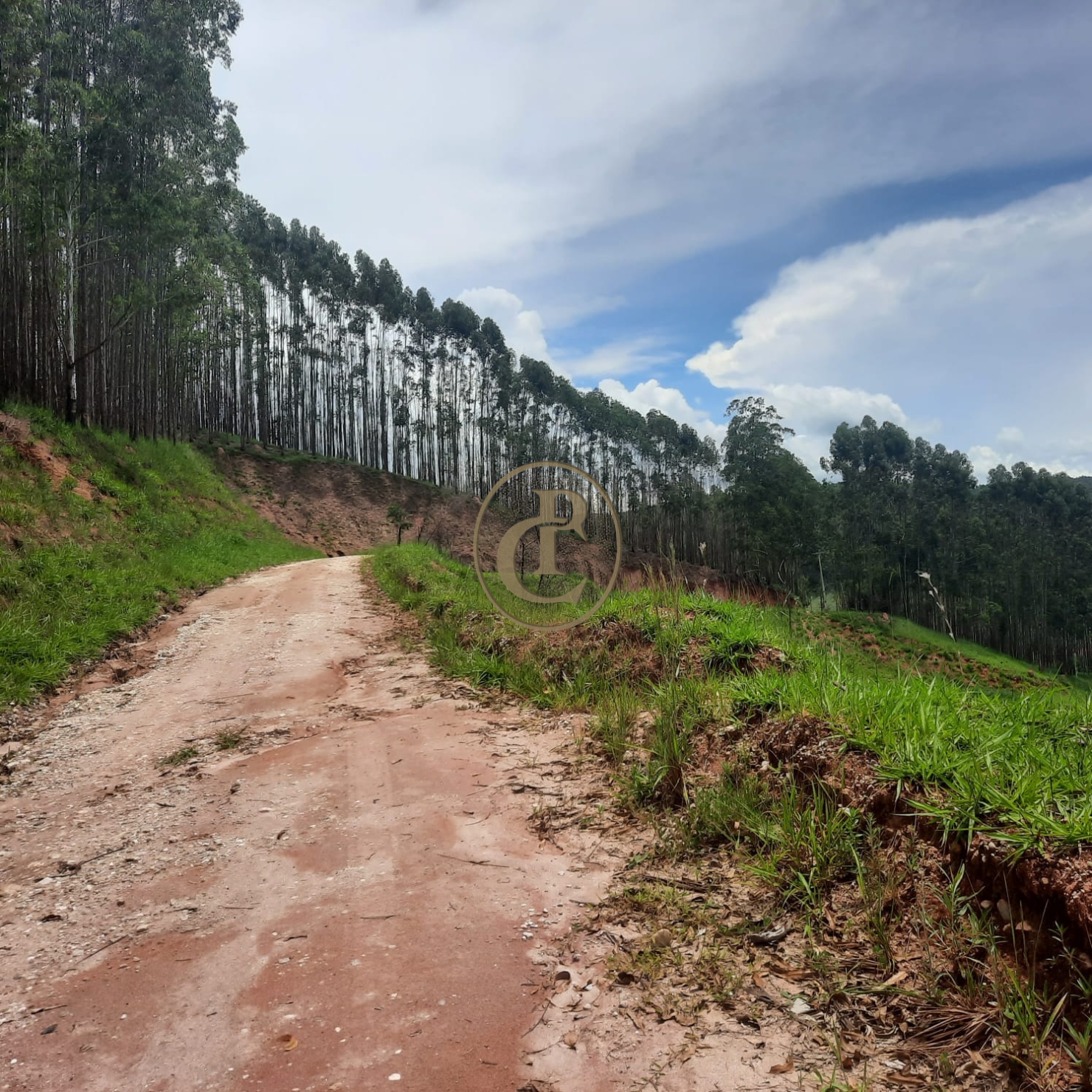 Fazenda, 500 m² - Foto 66