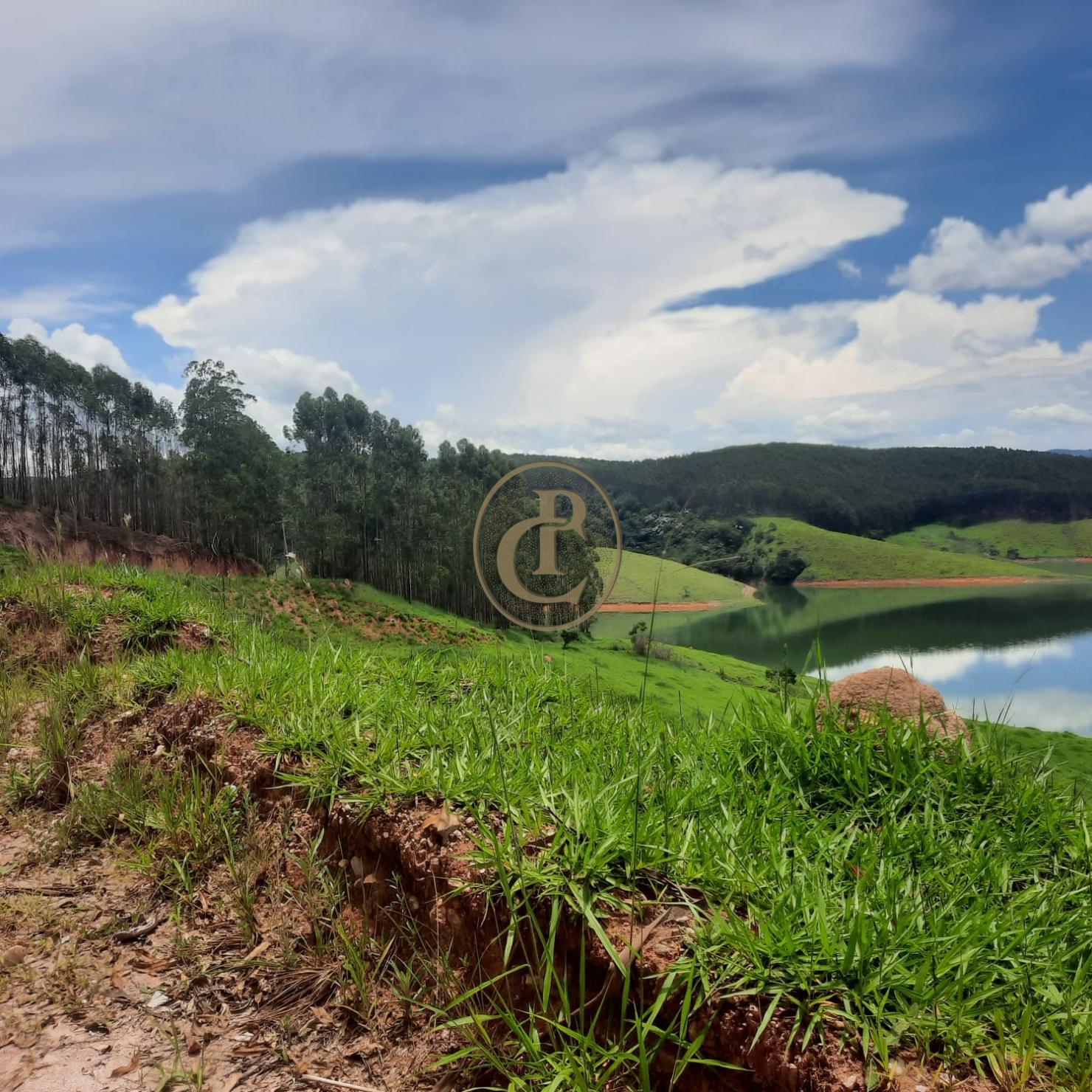 Fazenda, 500 m² - Foto 67