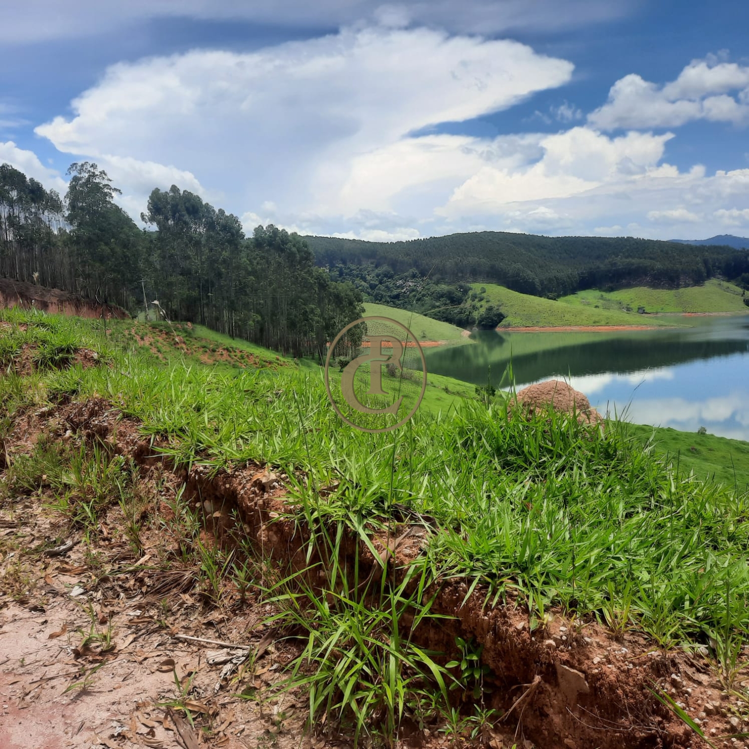 Fazenda, 500 m² - Foto 68