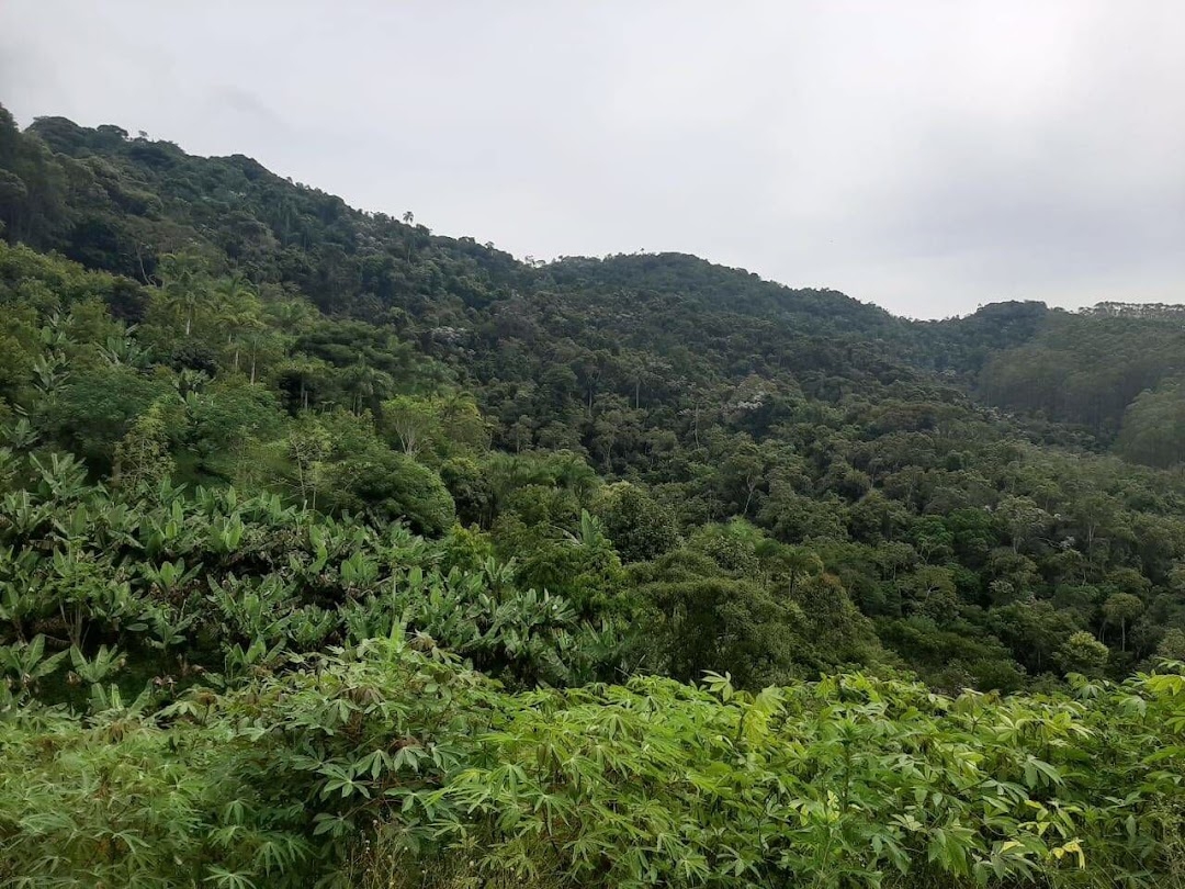 Sítio, 3 quartos, 250 m² - Foto 16