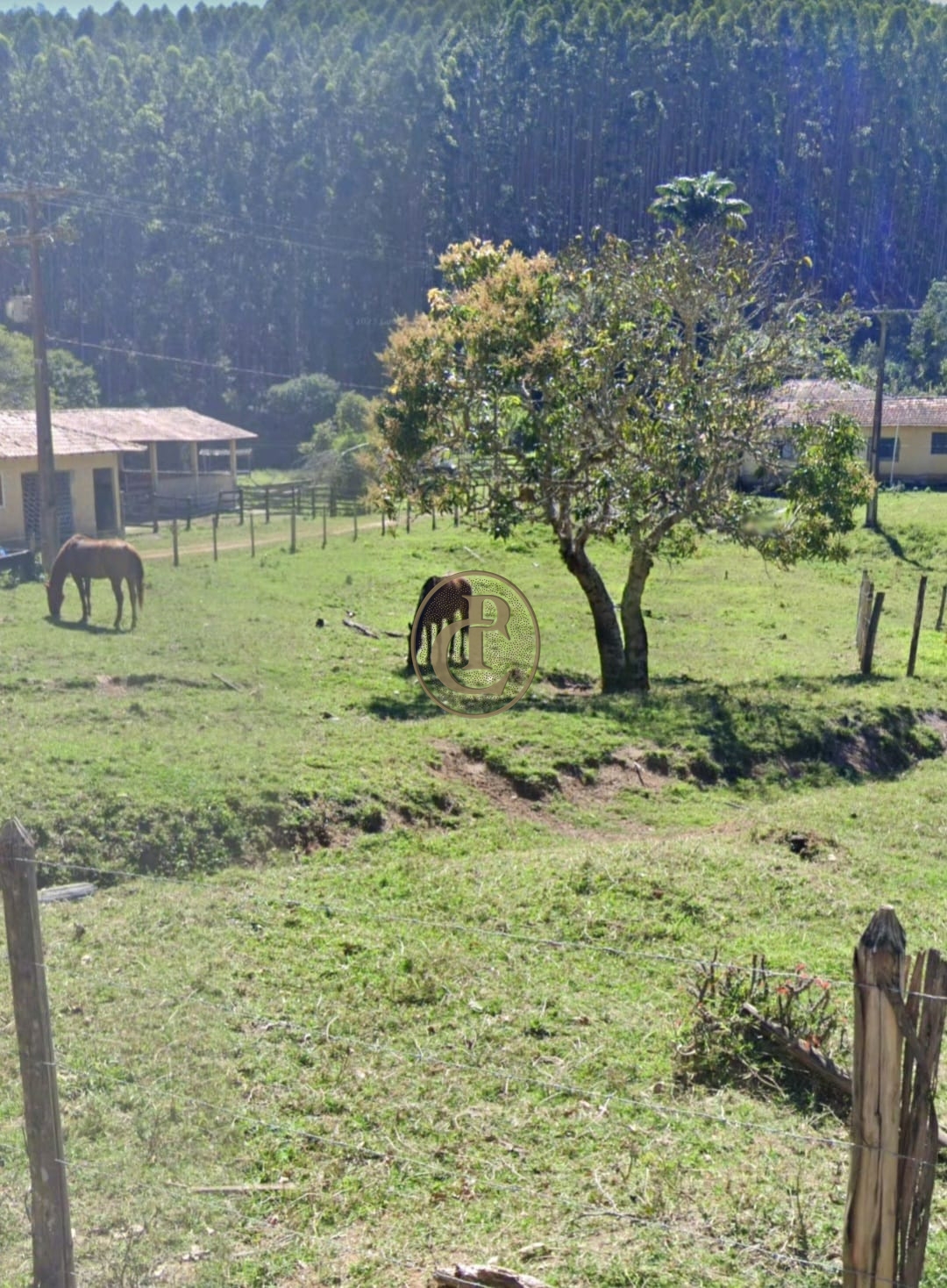 Fazenda, 500 m² - Foto 74