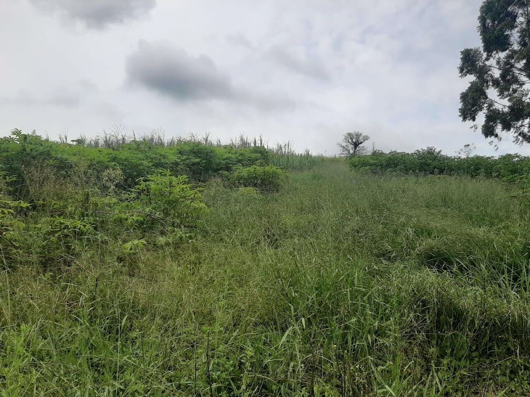 Sítio, 3 quartos, 250 m² - Foto 18