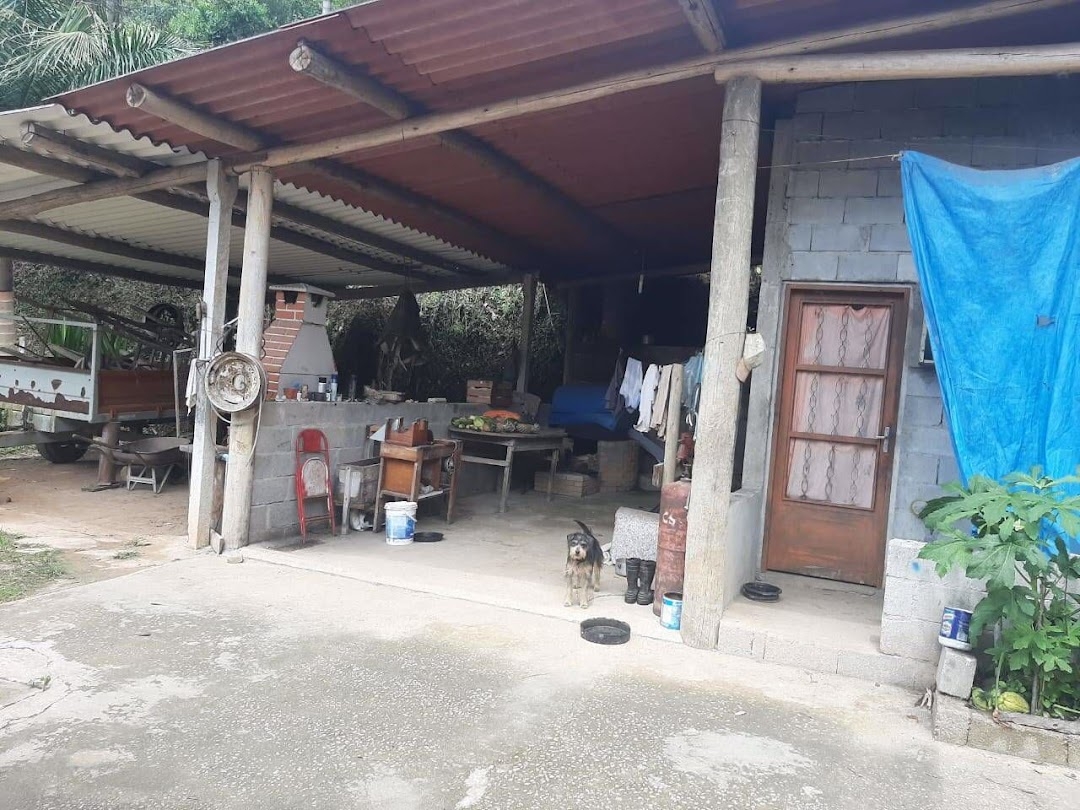 Sítio, 3 quartos, 250 m² - Foto 8